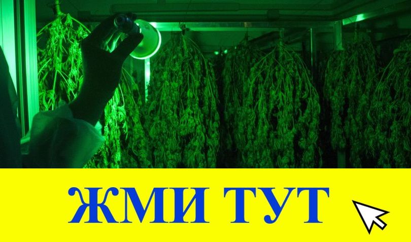 Купить наркотики в Тайге